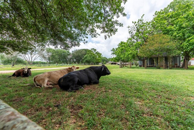 2403 N Bar Rd, Rosenberg, TX 77471 - photo 32