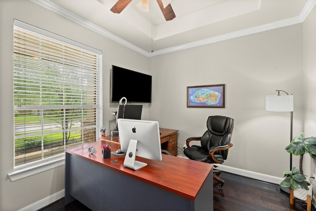 1619 Julia Park Dr, Spring, TX 77386 - office featuring baseboards, ornamental molding, dark wood finished floors, a tray ceiling, and a ceiling fan