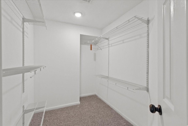 walk in closet featuring carpet floors