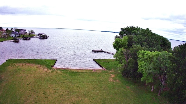 401 Paradise Dr, Coldspring, TX 77331 - water view