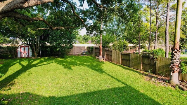 4319 Oak Forest Dr, Missouri City, TX 77459 - photo 10