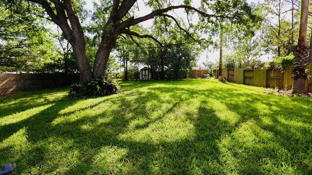 4319 Oak Forest Dr, Missouri City, TX 77459 - photo 13