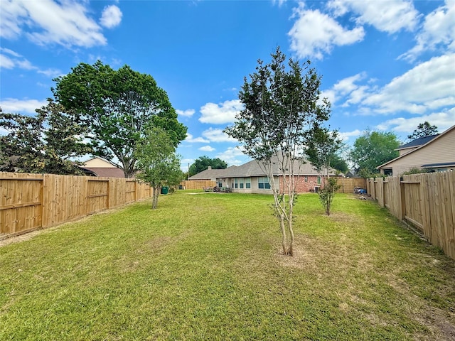 16038 Belleshire Ln, Houston, TX 77084 - view of yard
