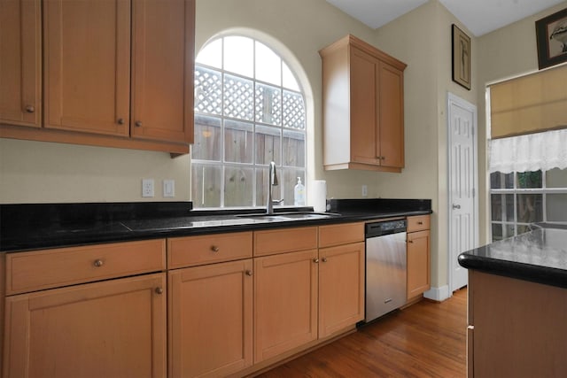 kitchen with dark wood-type flooring, a sink, and dishwasher