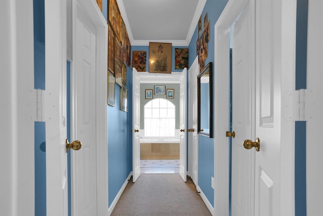 hallway with crown molding, baseboards, and carpet floors