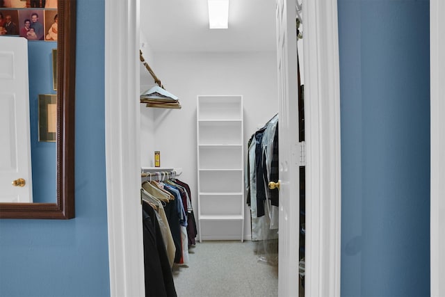 view of walk in closet