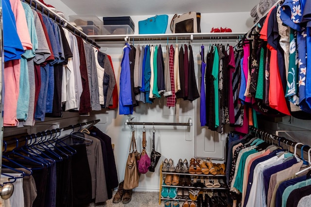 view of spacious closet