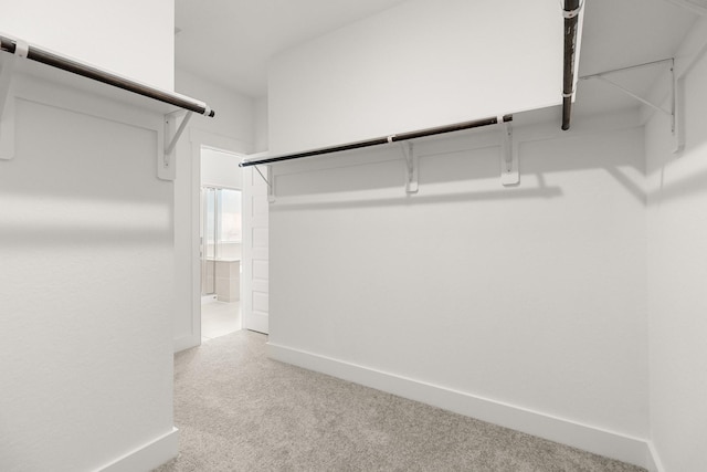 walk in closet featuring light carpet