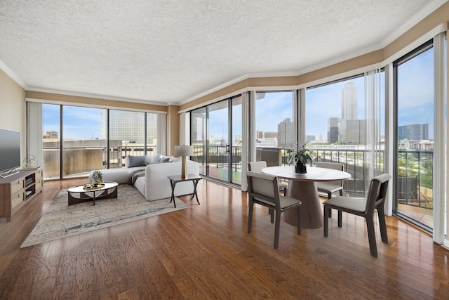 sunroom with a city view