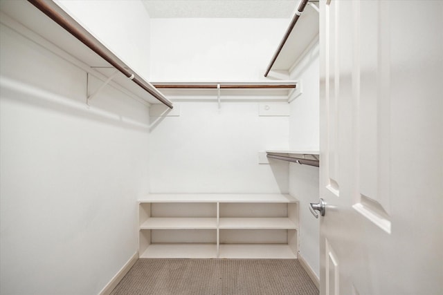 walk in closet with carpet flooring