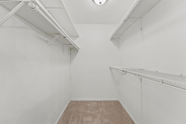 18118 Lakeside Ln, Houston, TX 77058 - spacious closet with light colored carpet