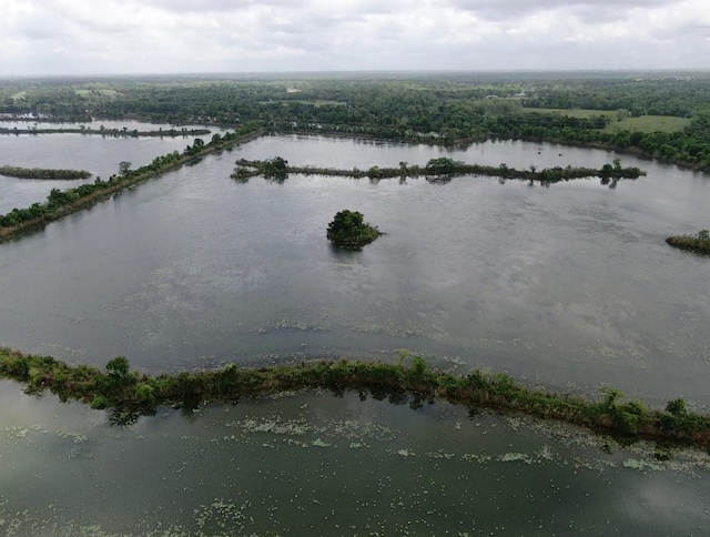 drone / aerial view featuring a water view and a view of trees