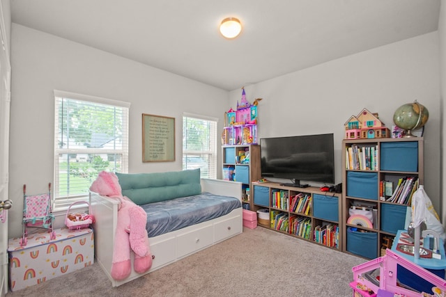 recreation room with carpet floors