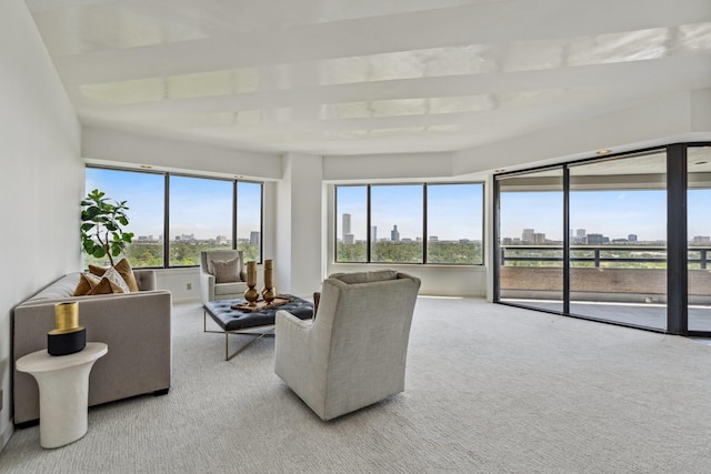 101 Westcott St Unit 1402, Houston, TX 77007 - living area with carpet flooring and a view of skyline