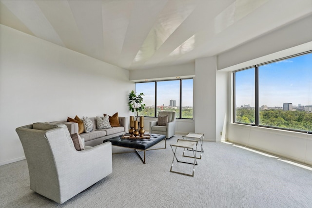 101 Westcott St Unit 1402, Houston, TX 77007 - living room with carpet flooring and baseboards