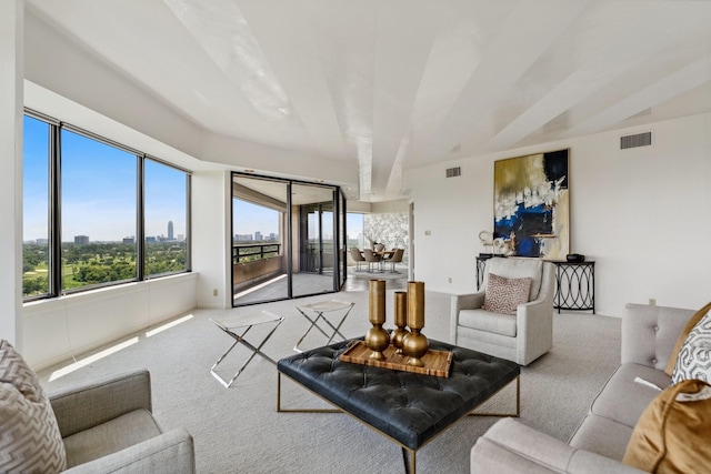 101 Westcott St Unit 1402, Houston, TX 77007 - living area featuring carpet