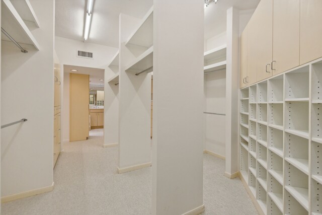 101 Westcott St Unit 1402, Houston, TX 77007 - spacious closet featuring light carpet
