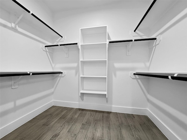 walk in closet with dark wood-style floors
