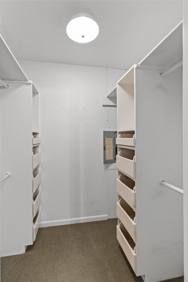 1114 Helen Dowdy Prt, Bolivar, TX 77650 - walk in closet featuring carpet