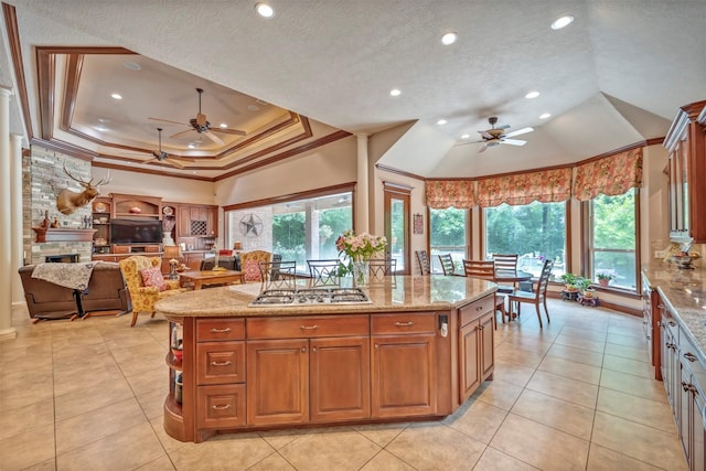 kitchen featuring a healthy amount of sunlight, a raised ceiling, a ceiling fan, and stainless steel gas stovetop