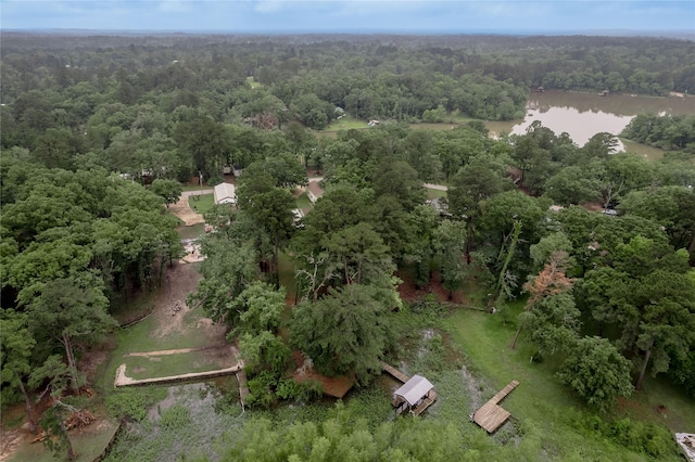 350 Shoreline Dr, Huntsville, TX 77320 - drone / aerial view with a water view and a view of trees
