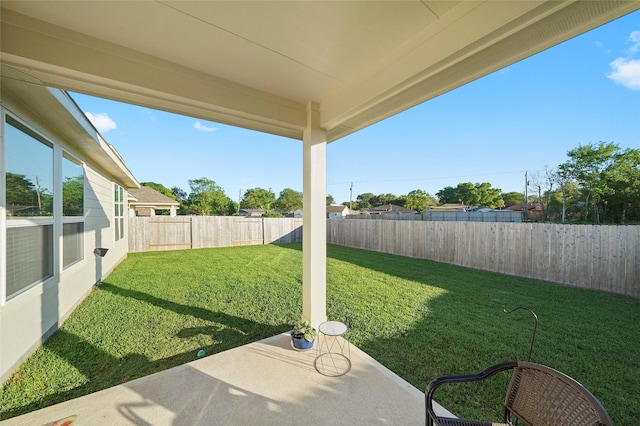 view of yard with a patio area and a fenced backyard