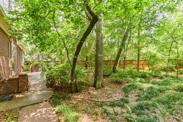 view of yard with a fenced backyard and a patio area