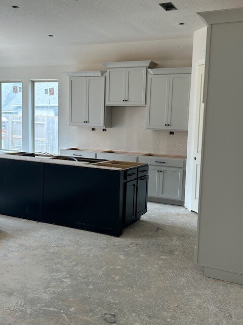 30219 Gold Finch Pl, Fulshear, TX 77441 - view of kitchen