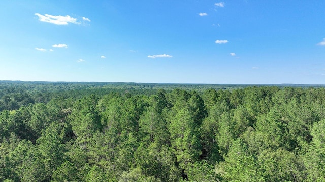 TBD US Highway 69 N N, Colmesneil, TX 75938