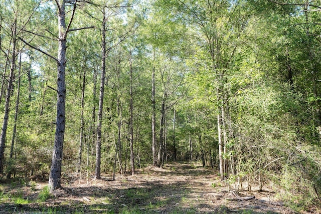 TBD US Highway 69 N N, Colmesneil, TX 75938