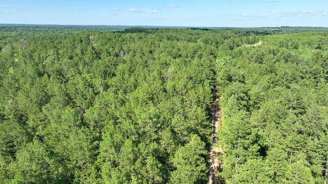 TBD US Highway 69 N N, Colmesneil, TX 75938