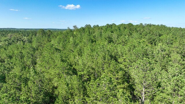 TBD US Highway 69 N N, Colmesneil, TX 75938