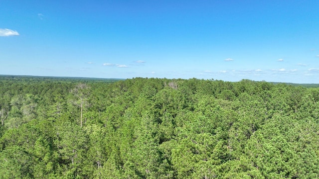 TBD US Highway 69 N N, Colmesneil, TX 75938