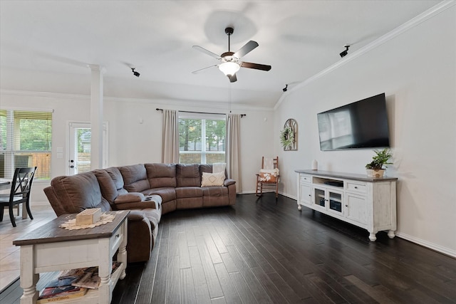 living area featuring plenty of natural light, ceiling fan, dark wood finished floors, ornamental molding, and baseboards
