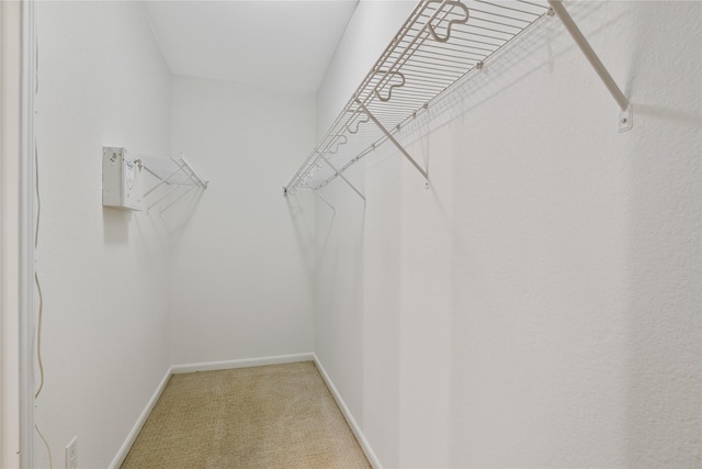 walk in closet featuring light carpet