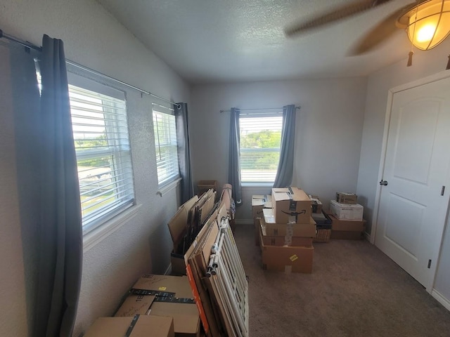 3527 9 Mile Rd, Galveston, TX 77554 - photo 23