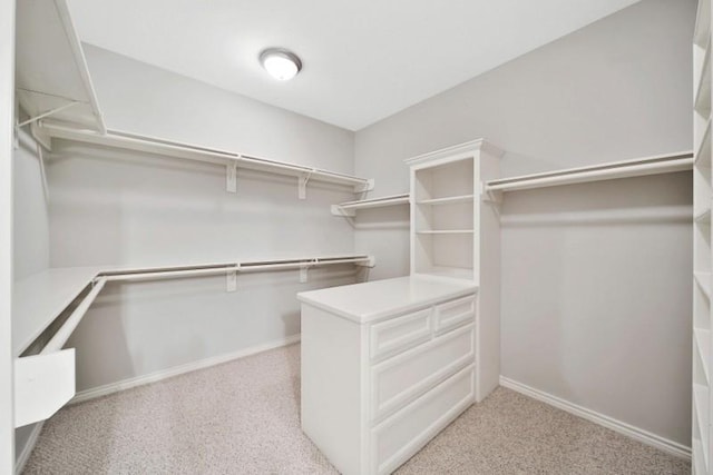 walk in closet with light colored carpet