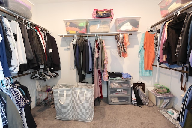 walk in closet with carpet flooring
