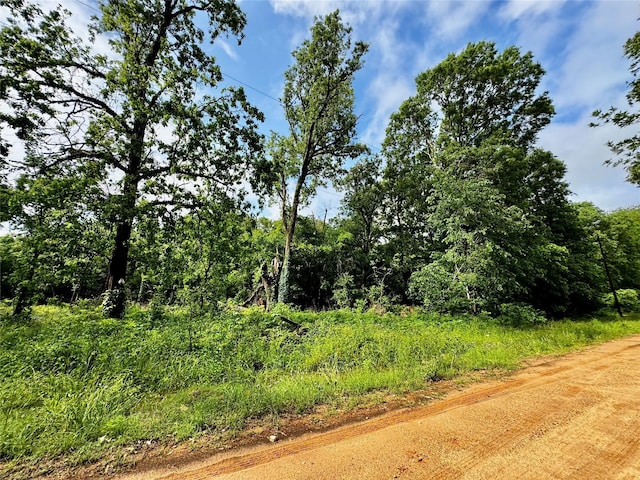 TBD Mudd St, Coldspring, TX 77331 - photo 1