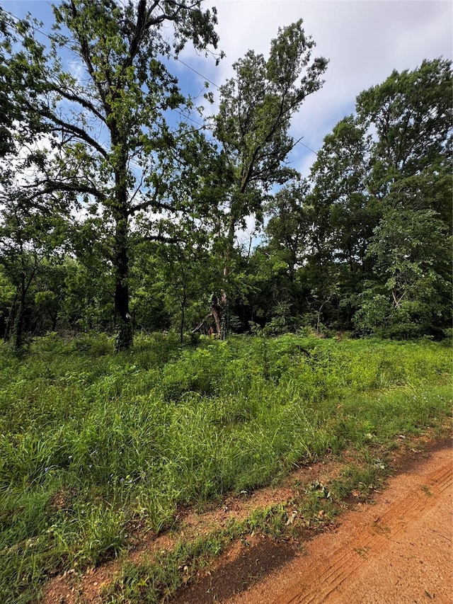 TBD Mudd St, Coldspring, TX 77331 - photo 4