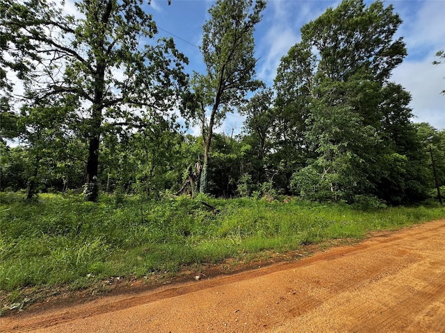 TBD Mudd St, Coldspring, TX 77331 - photo 7