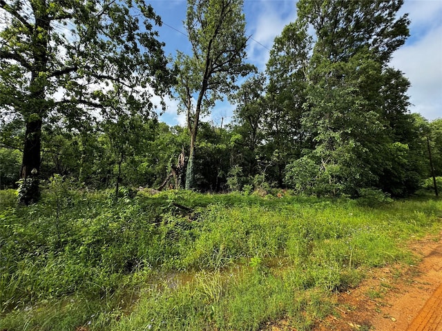 TBD Mudd St, Coldspring, TX 77331 - photo 8