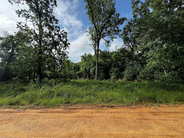 TBD Mudd St, Coldspring, TX 77331 - photo 10