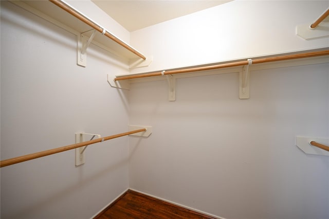 spacious closet featuring dark wood-style flooring