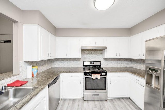 kitchen featuring a sink, decorative backsplash, stainless steel appliances, under cabinet range hood, and light wood-type flooring