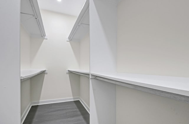 walk in closet featuring dark wood-type flooring