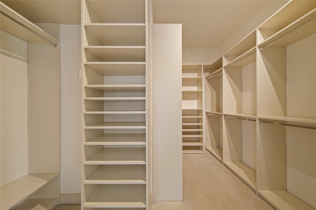 spacious closet featuring light carpet