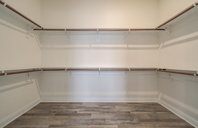 spacious closet with dark wood-style floors