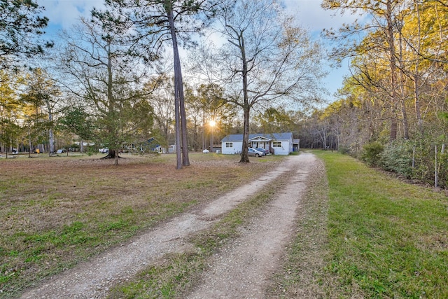 view of road with dirt driveway