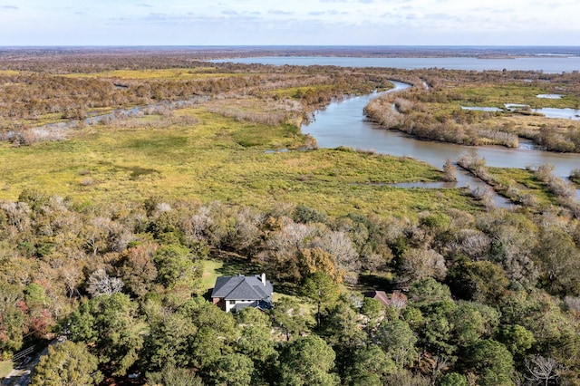 drone / aerial view with a water view and a view of trees